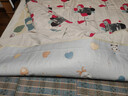 彩虹（RAINBOW） 電熱毯?jiǎn)稳穗娙熳?.8*0.8/1.2m排潮電毯子高溫斷電小功率電熱墊 定時(shí)除螨 長(cháng)1.8米*寬1.2米 曬單實(shí)拍圖