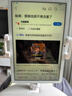 賽鯨U3手機支架平板支架桌面床上落地支架抱枕支架懶人ipad平板支架沙發(fā)落地枕頭pad直播躺著(zhù)追劇神器 曬單實(shí)拍圖