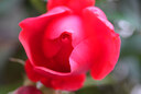 適馬（SIGMA）20-200mm F3.5-6.3 DG｜Contemporary 全畫(huà)幅微單相機掛機頭 一鏡走天下 旅游風(fēng)光 遠攝大變焦鏡頭 索尼口 【官方標配】主圖配件+多重好禮 曬單實(shí)拍圖