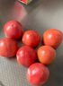 京鮮生沙瓤粉西紅柿 凈重3斤 單果100g+果菜兩吃 源頭直發(fā) 【搜生鮮館】 曬單實(shí)拍圖