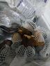 新鮮黑牛肝菌【順豐包郵】云南特產(chǎn)見(jiàn)手青菌子 肉厚鮮嫩 火鍋食材 2kg 曬單實(shí)拍圖