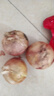 新鮮黃洋蔥黃金水果洋蔥即食蔬菜調料燒烤食材 新鮮黃洋蔥 500g 含箱 曬單實(shí)拍圖