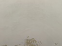魚(yú)躍（Yuwell）雙拐YU860A老人拐杖腋下骨折醫用病人手杖助行器鋁合金伸縮棍加厚 曬單實(shí)拍圖