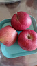 集南鮮 花牛蘋(píng)果 甘肅當季新鮮紅蛇粉面蘋(píng)果 嬰兒輔食水果中秋禮盒送禮 5斤甄選果 單果60-70mm 凈重4.5斤 曬單實(shí)拍圖