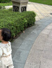 babylove女寶寶上衣純棉春秋款長袖T恤嬰兒花邊領(lǐng)四季打底衫甜美 曬單實(shí)拍圖