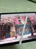 【美國MFI認證】二代華強北電容觸控筆apple pencil蘋(píng)果平板ipad10/11/pro/air4/5/6/7手寫(xiě)觸屏筆 【官配三代Pro】磁吸C口快充丨傾斜壓感 【2025新升級全功能】防誤 曬單實(shí)拍圖