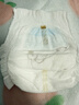 碧芭寶貝大魚(yú)海棠拉拉褲XXL28片(≥15kg)加大碼尿不濕大吸量 秋冬不悶 曬單實(shí)拍圖