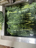 云南現(xiàn)摘新鮮羽衣甘藍榨汁組合裝減脂解暑健康小綠瓶蔬菜 羽衣甘藍2kg裝 曬單實拍圖