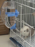 潔西 兔子草架 可懸掛內外兩用防卡草架豚鼠龍貓 面包草架 顏色隨機 曬單實(shí)拍圖