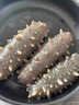 京東京造大連有機冷凍即食海參500g*3 共24-30只 遼刺參禮盒 曬單實(shí)拍圖