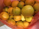京鮮生 江西贛南臍橙 凈重4.5斤 單果150g+ 源頭直發(fā)包郵 曬單實(shí)拍圖
