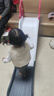 幼貝臣兒童室內家用滑滑梯寶寶床沿沙發(fā)簡(jiǎn)易滑梯玩具男女孩生日禮物 曬單實(shí)拍圖