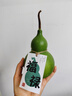 歐哈芝士披薩180g*4盒（美式培根+牛肉+雞肉+香腸）半成品早餐披薩 曬單實(shí)拍圖