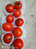 新鮮沙瓤西紅柿自然成熟現摘現發(fā)番茄下蔬菜生鮮減肥單果80g+ 新鮮西紅柿 3斤 凈重 曬單實(shí)拍圖