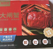 【活蟹】鮮京采鮮活大閘蟹 全母蟹2.5兩 4對8只 去繩足重蟹類(lèi)螃蟹河蟹生鮮禮盒 曬單實(shí)拍圖