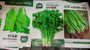 北蔬快菜種子速生奶油小白菜秋種蔬菜籽 速生18小白菜種子10g約3800粒 曬單實(shí)拍圖
