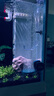 徹朗魚(yú)缸氧氣泵超靜音家用小型氧氣泵養魚(yú)水族箱打氧機魚(yú)缸增氧泵 雙孔5W【裸泵/1米以?xún)雀淄扑]】 曬單實(shí)拍圖