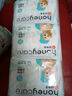 HONEYCARE好命家 狗狗紙尿褲公狗尿不濕安全褲XS適用體重2.5-4kg/12片12包 曬單實(shí)拍圖