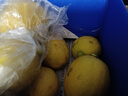 廣東香水黃檸檬新鮮檸檬奶茶店專(zhuān)用香水黃檸檬水果產(chǎn)地源頭直發(fā) （帶箱3斤）香水檸檬黃果單果70g起 曬單實(shí)拍圖