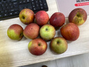 三萌果蔬大涼山丑蘋(píng)果 新鮮鹽源冰糖心紅富士蘋(píng)果水果禮盒節日送禮 9A【甜度升級】甄選精品果丨單果70-80mm 5斤裝【80%選擇-店長(cháng)力薦】?jì)?.5斤 曬單實(shí)拍圖