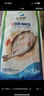 仙泉湖三去白蕉海鱸魚(yú)1斤/條凈膛冷凍刺少肉厚珠海特產(chǎn)500g生鮮食材 曬單實(shí)拍圖