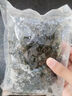 裙帶菜 鮮海帶非干貨海帶嫩苗兒童海菜海白菜海藻菜涼拌 裙帶菜嫩葉250g 曬單實(shí)拍圖