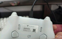 飛智冰原狼3/冰原狼4多模版無(wú)線(xiàn)手柄DW12C類(lèi)xbox手柄Switch/Steam黑神話(huà)悟空游戲手柄明末淵虛之羽手柄 【爆款新品】冰原狼4多模板 曬單實(shí)拍圖