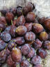 九陽(yáng)（Joyoung）熱水壺燒水壺電水壺 雙層壺體 304不銹鋼 1.5L家用0膠水電水壺 K15FD-W100 曬單實(shí)拍圖