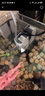 松寶（sobo）魚(yú)缸過(guò)濾器三合一循環(huán)過(guò)濾增氧系統內置凈水小型水族箱水泵 6W 曬單實(shí)拍圖