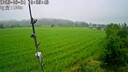 奇視明4G5G太陽(yáng)能監控攝像頭四鏡頭AOV高空拋物終身免流量360全景全彩夜視追蹤無(wú)電無(wú)網(wǎng)戶(hù)外室外超高清 真四鏡頭太陽(yáng)能+3200萬(wàn)像素+終身免流量 送30天循環(huán)錄像+AOV全天錄像+30米AI感應  曬單實(shí)拍圖