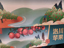 京覓 洛川魯麗紅富士蘋(píng)果 12枚單果170g+ 時(shí)令新鮮水果生鮮 源頭直發(fā) 曬單實(shí)拍圖