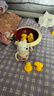 babycare西高地保溫杯學(xué)飲兒童寶寶學(xué)生上學(xué)水壺吸管直飲杯外出6月+-小粉 曬單實(shí)拍圖