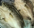 鮮京采三去海鱸魚(yú)3斤/3條 生鮮魚(yú)類(lèi) 白蕉鱸魚(yú)地標 中秋家宴魚(yú)類(lèi)源頭直發(fā) 曬單實(shí)拍圖