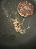 銀蕨農場(chǎng)（SILVER FERN FARMS）誠實(shí)系列草飼牛肉餅600g生鮮食材 誠實(shí)牛肉餅600g 曬單實(shí)拍圖