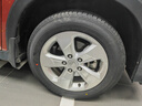 鄧祿普（DUNLOP）輪胎/汽車(chē)輪胎 215/60R16 95H SP SPORT 230 原廠(chǎng)配套XRV/繽智 曬單實(shí)拍圖