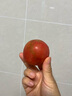 京鮮生 山東鐵皮草莓西紅柿 凈重4.5斤 單果60-150g水果番茄源頭直發(fā) 曬單實(shí)拍圖