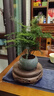 文竹+陶瓷盆  盆栽植物室內客廳盆景辦公室懶人好養綠植創(chuàng  )意擺件 文竹+綠色冰裂盆+高腳方底座 帶盆栽好 曬單實(shí)拍圖