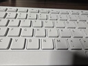 戴爾靈越 25款 高端一體機臺式電腦(13代i7 16G 1T)美學(xué)白 27英寸大屏 商用辦公 影音娛樂 學(xué)習(xí)機  曬單實拍圖