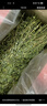 潔西 烘干紫花苜蓿草 兔子牧草干草飼料兔糧龍貓荷蘭豬豚鼠零食500g 曬單實(shí)拍圖