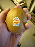 佳沛（zespri）新西蘭 陽(yáng)光金果12粒單果約122-146g 獼猴桃 中秋水果禮盒 曬單實(shí)拍圖