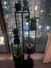 安爾雅花架陽(yáng)臺(tái)置物架客廳落地式植物架綠蘿擺放架綠植盆栽架多肉花盆架 曬單實(shí)拍圖