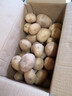 新鮮土豆現挖現發(fā)山東正宗黃心黃肉當季蔬菜馬鈴薯洋芋薯條3兩起 山東土豆帶箱9斤 中大果 曬單實(shí)拍圖