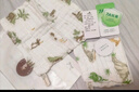 babyincoming蓓茵可嬰兒小方巾兒童毛巾純棉紗布新生兒口水巾用品寶寶洗臉巾 【2條】田園動(dòng)物 6層柔紗50*25cm 規格 曬單實(shí)拍圖