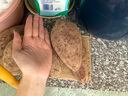 魯禧廣西新鮮紫薯 當季精品紫薯地瓜 軟糯香甜健康輕食生鮮蔬菜 中果凈重4.5斤（單果150-400g） 曬單實(shí)拍圖