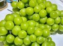 京鮮生 長(cháng)城豐水梨 凈重5斤 單果250g+ 新鮮當季 生鮮水果 中秋禮盒 曬單實(shí)拍圖