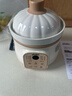 浦利頓（PLODON）電燉鍋 分月齡BB煲粥飯鍋嬰兒專(zhuān)用微壓燉盅寶寶燉湯輔食鍋 輔食機 曬單實(shí)拍圖