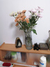 【小雛菊】供佛超長(cháng)花期鮮花基地直發(fā)好打理菊花多色七夕節禮物 小雛菊混搭顏色10枝 曬單實(shí)拍圖