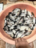 光GW威魚(yú)竿手竿大物竿龍神飛戟碳素超輕超硬19調湖庫鰱鳙臺釣竿巨物竿6.3m 大物版+竿稍+竿包其他 曬單實(shí)拍圖
