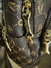 暇步士（Hush Puppies）雙肩包包女士經(jīng)典背包女書(shū)包大學(xué)生開(kāi)學(xué)季生日禮物送媽媽送老婆 曬單實(shí)拍圖