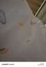 優(yōu)奇嬰兒衣服男女寶寶春秋長(cháng)袖高腰護肚套裝嬰幼兒早秋分體兩件套外出 曬單實(shí)拍圖